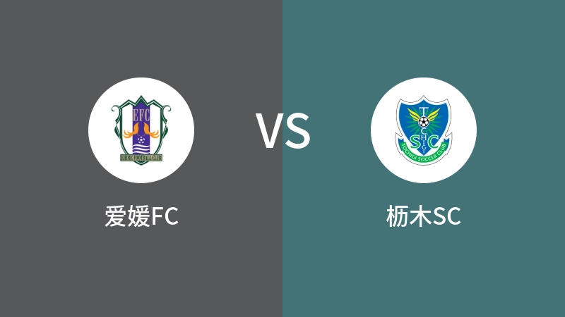 爱媛FCVS枥木SC比分预测 2024/05/25