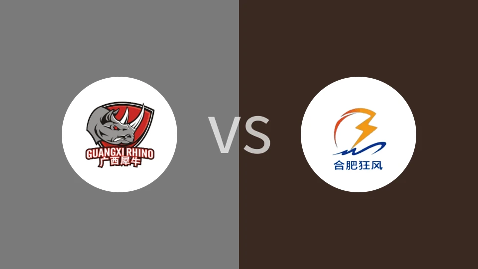 广西威壮VS合肥狂风峻茂全场录像回放 2024/07/29