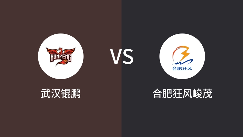 武汉锟鹏VS合肥狂风峻茂全场录像回放 2024/08/07