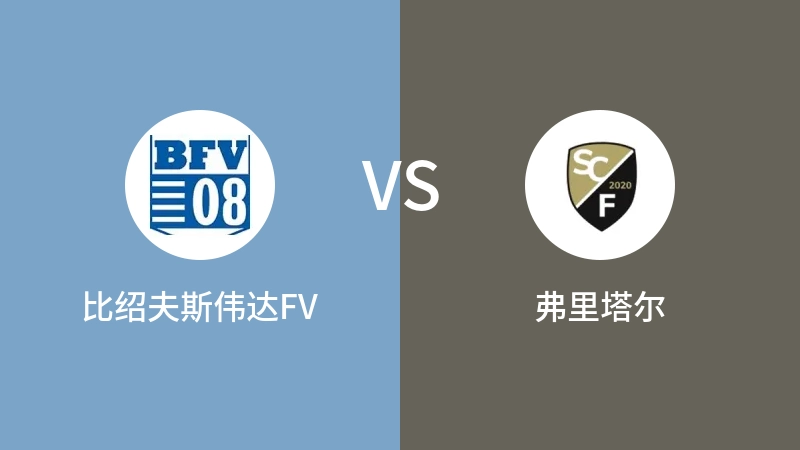 比绍夫斯伟达FVVS弗里塔尔比分预测 2023/07/29