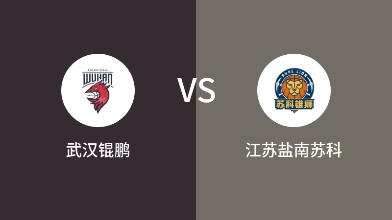 武汉锟鹏VS江苏盐南苏科全场录像回放 2023/07/19